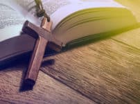 世界で最も読まれている本は聖書ということに関する雑学