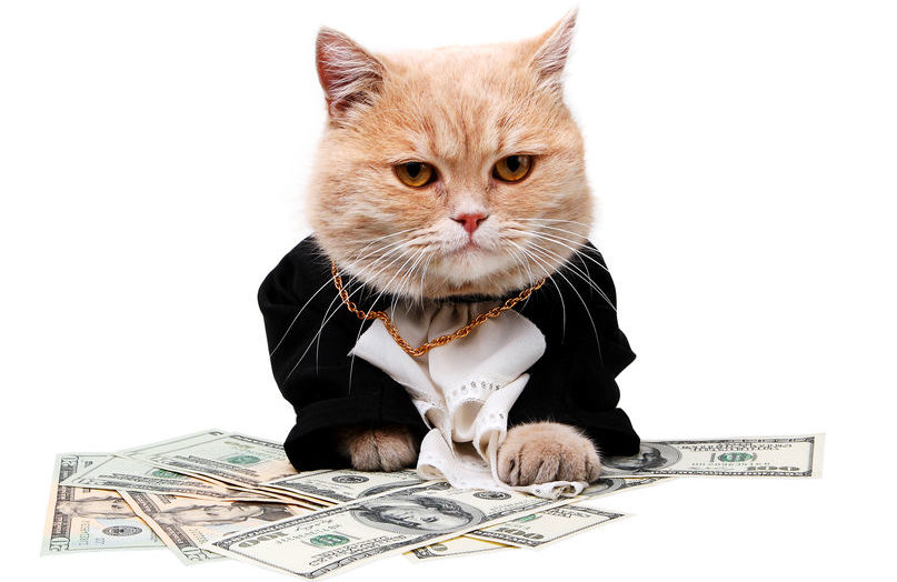 1000万円以上の超高級猫の雑学