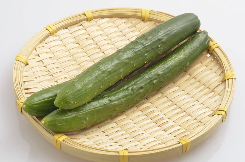 きゅうりはギネスに認定されているということに関する雑学