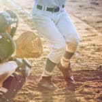 甲子園の土は毎年追加されているということに関する雑学