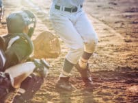 甲子園の土は毎年追加されているということに関する雑学