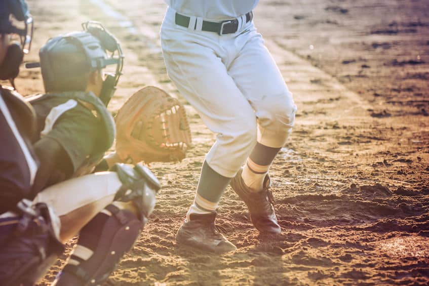 甲子園の土は毎年追加されているということに関する雑学