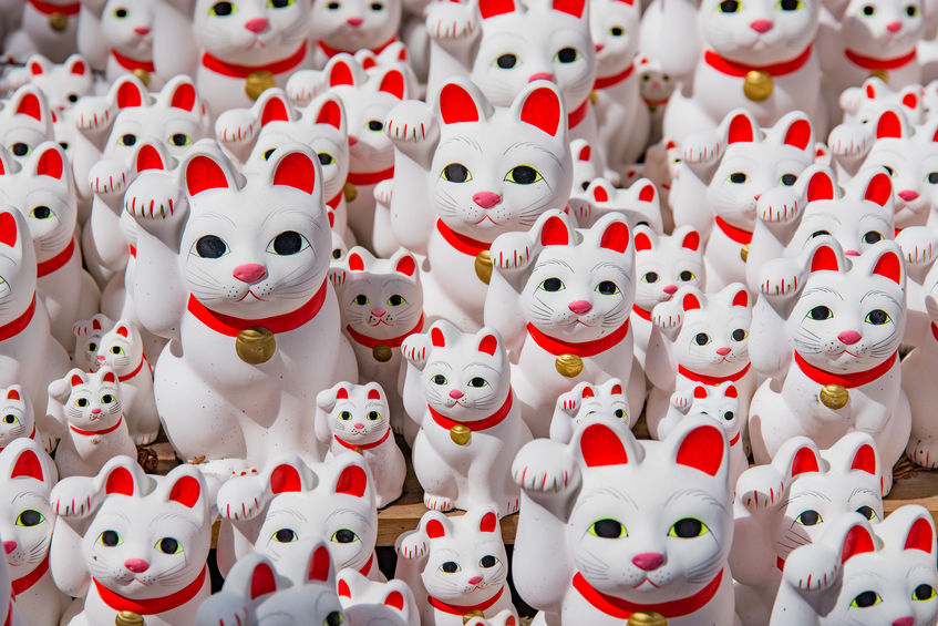 招き猫はどちらの手を上げているかでご利益が変わる雑学