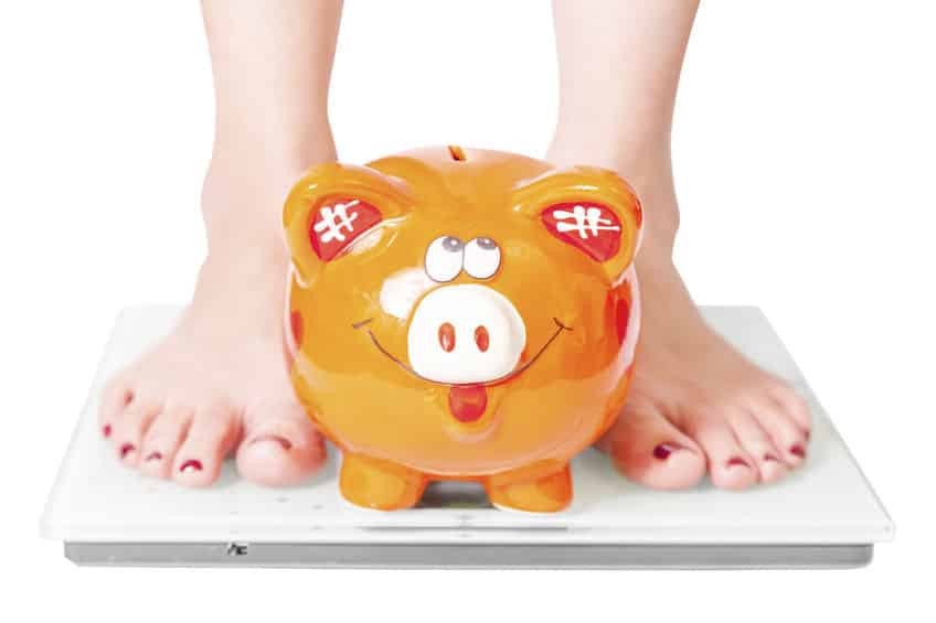 豚の体脂肪率は低いということに関する雑学