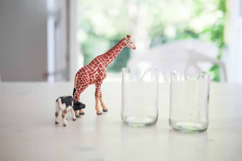 キリンの鳴き声が牛と似ている理由に関する雑学
