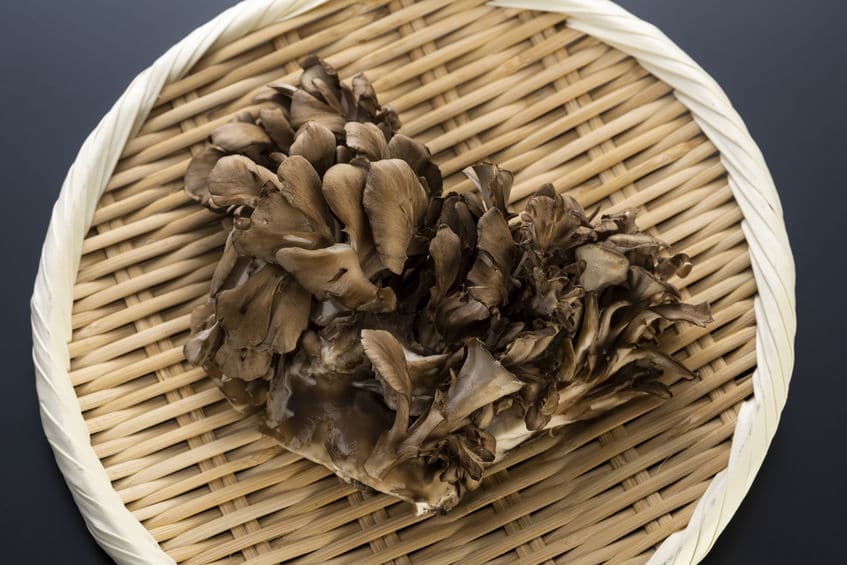 舞茸は松茸より貴重だった!というトリビア