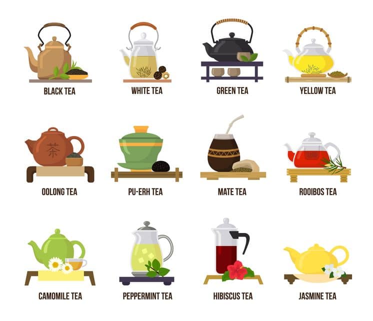 お茶の雑学!緑茶/紅茶/烏龍茶の茶葉は一緒!なにが違う?というトリビアまとめ