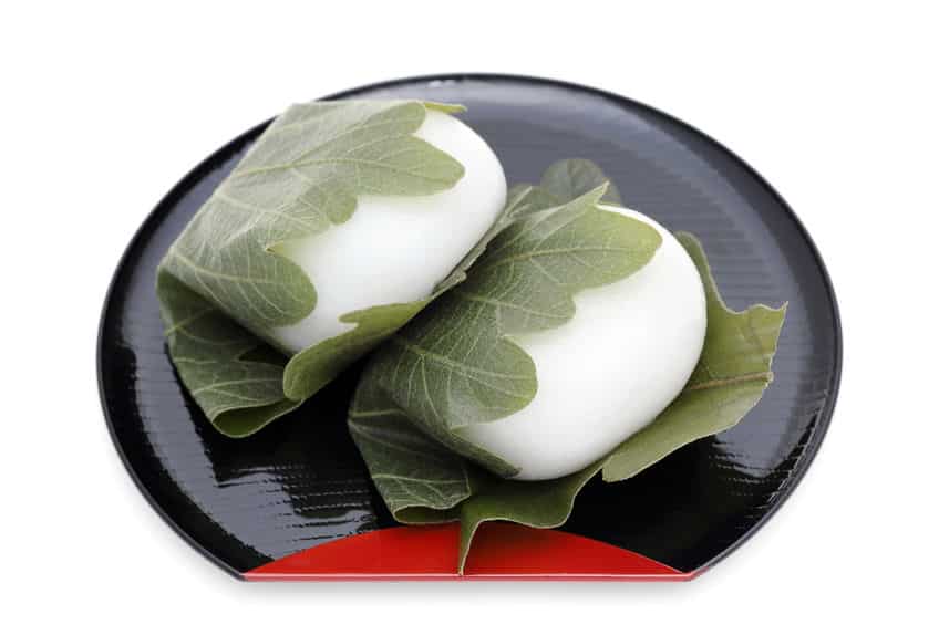 こどもの日に食べる柏餅は子孫繁栄の縁起物という雑学
