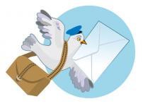 昔の新聞社は、伝書鳩を使って原稿を送っていたという雑学