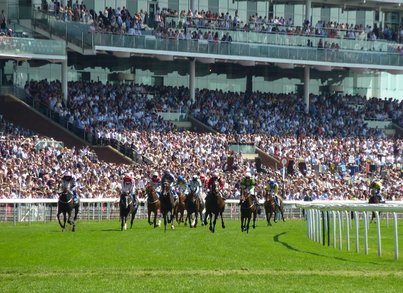 競走馬の名前の決め方に関する雑学