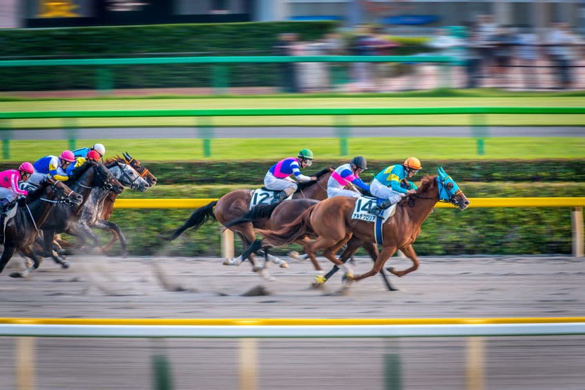 マッシュルーム栽培場は競馬場のそばに多いというトリビア