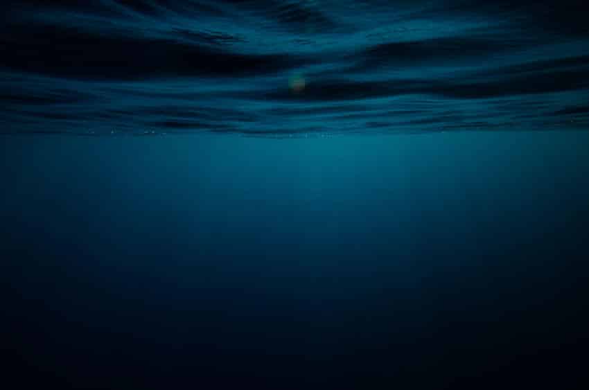 深海魚が水圧に耐えられる理由に関する雑学