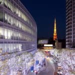 イルミネーションが冬に行われる理由は？に関する雑学