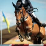 馬に乗るときの体重制限は「馬術」にはないという雑学