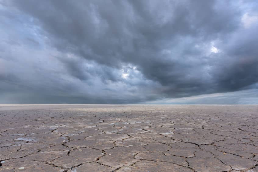 砂漠に雨が降ると洪水が起こり溺死してしまう