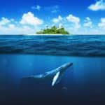 クジラが陸で生きられない理由に関する雑学