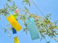 「七夕」と書いて「たなばた」と読む理由に関する雑学