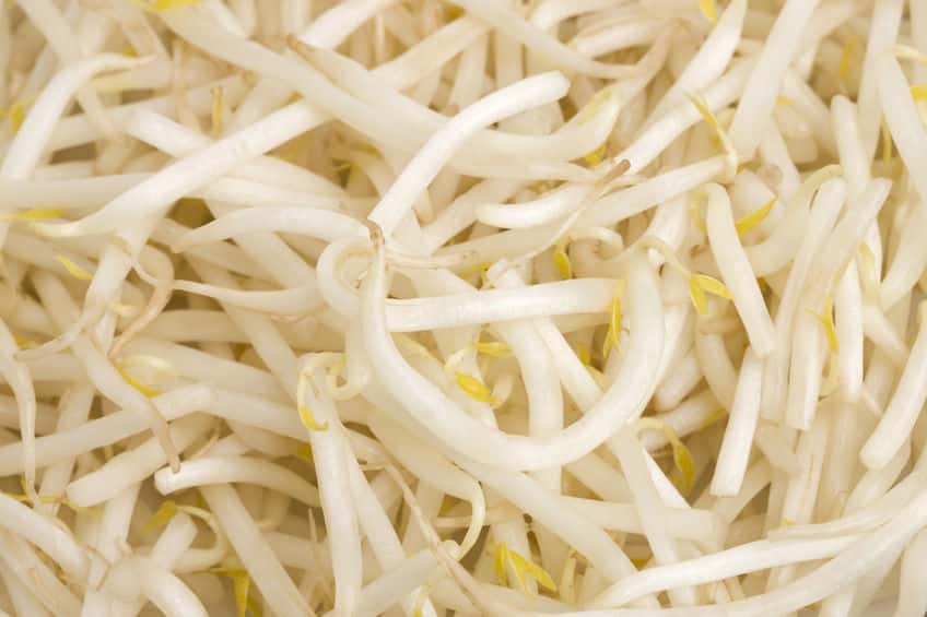 もやしを漢字にすると…？に関する雑学