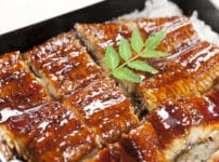 夏バテにはうなぎがいい？に関する雑学