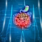 十二指腸の由来は？に関する雑学