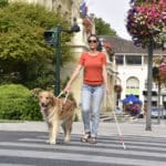 盲導犬には信号の色が見えている？に関する雑学