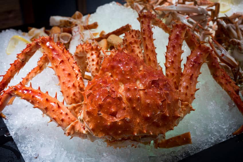 実はこんなにたくさんあるカニ缶の種類についてのトリビア