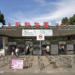 日本に初めて来たキリンのせいでクビになった園長がいるという雑学