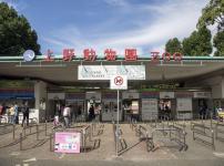 日本に初めて来たキリンのせいでクビになった園長がいるという雑学
