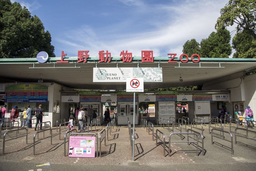 日本に初めて来たキリンのせいでクビになった園長がいるという雑学