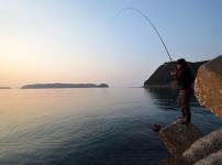 人間の体温で魚はやけどする？に関する雑学