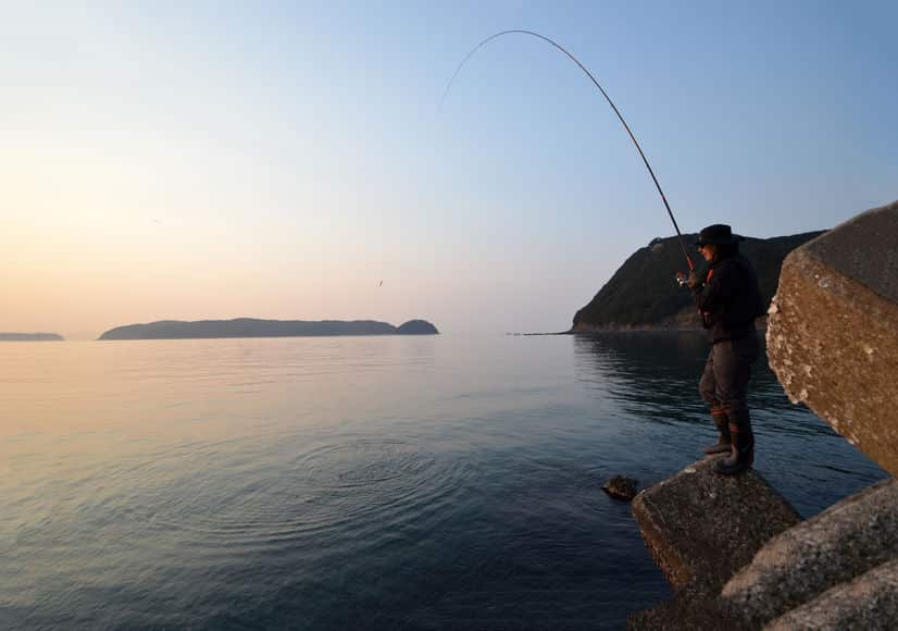 人間の体温で魚はやけどする？に関する雑学