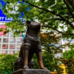 渋谷の「忠犬ハチ公」の像は二代目？に関する雑学