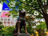 渋谷の「忠犬ハチ公」の像は二代目？に関する雑学
