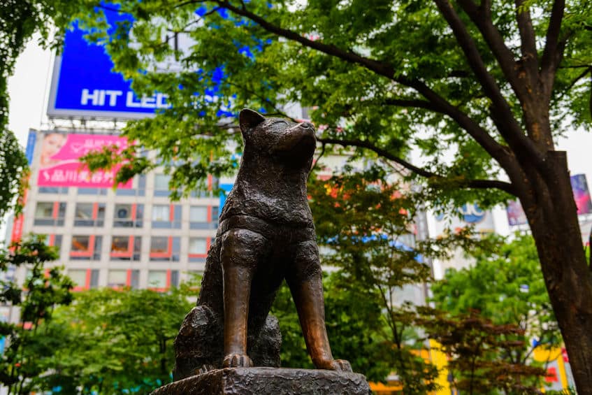 渋谷の「忠犬ハチ公」の像は二代目?に関する雑学
