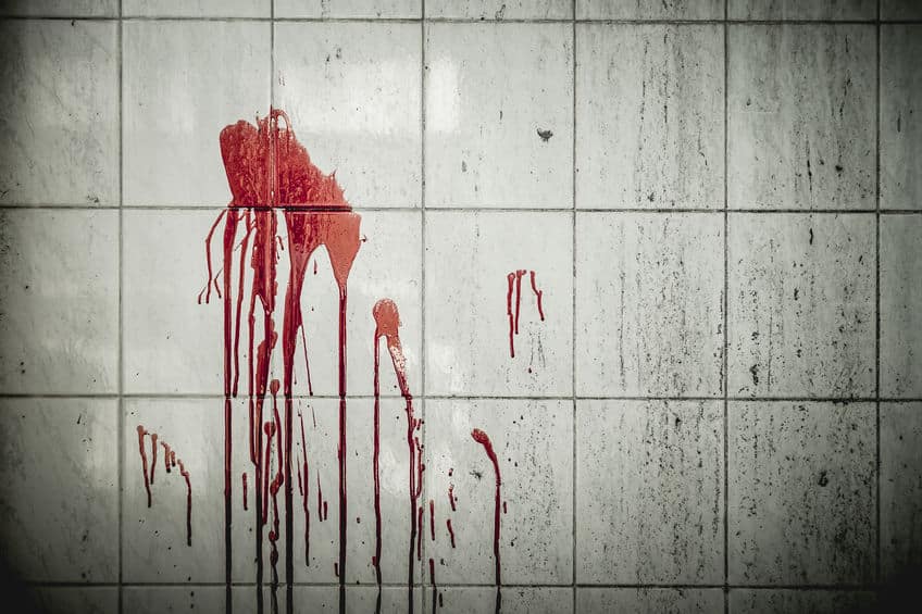 「シンデレラ」にはいくつかのバージョンがあり、その1つに継母を殺害する話があるについてのトリビア