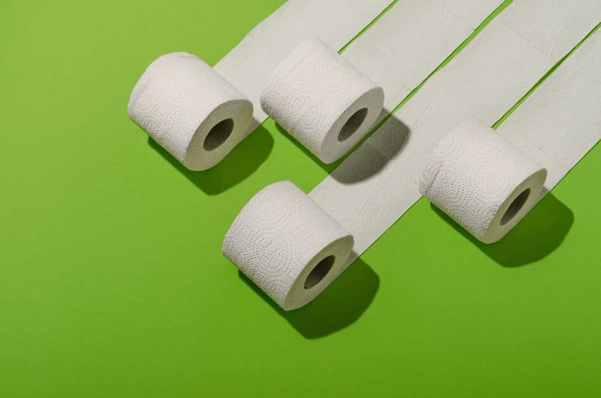 トイレットペーパーはシングルとダブル?についてのトリビア