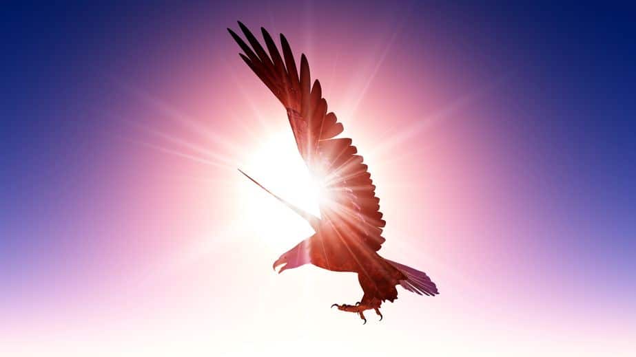 SとBはは太陽(sun)と鳥(bird)を表すというトリビア