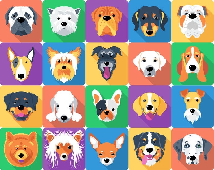 嘱託警察犬なら犬種の制限がないというトリビア