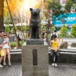 ハチ公が駅に通ったのはエサを探していただけ？に関する雑学