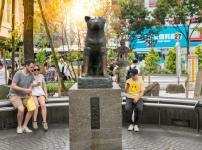 ハチ公が駅に通ったのはエサを探していただけ？に関する雑学