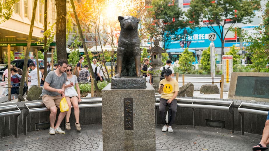 ハチ公が駅に通ったのはエサを探していただけ?に関する雑学