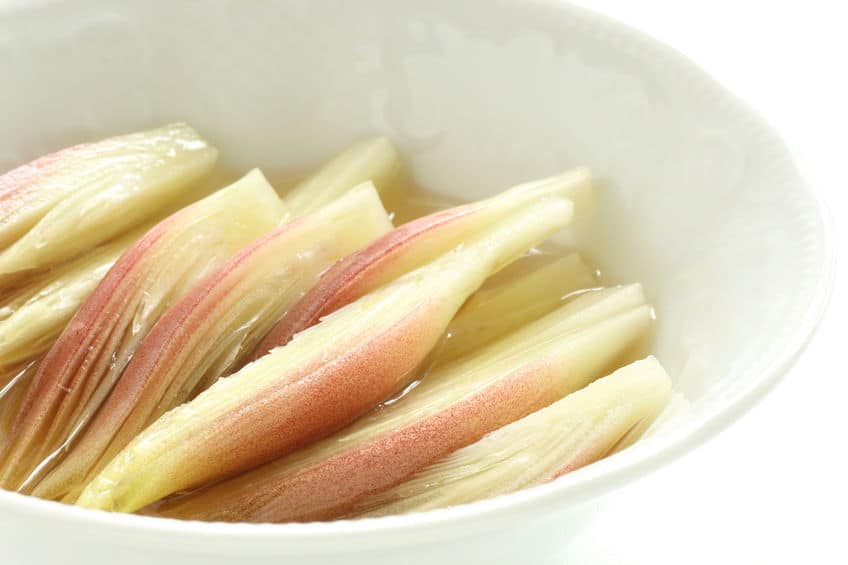 ただの俗説だった!ミョウガを食べても物忘れはしないというトリビア