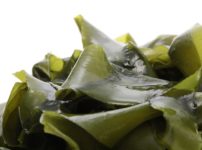 「ワカメを食べると髪が生える」はほんと？嘘？に関する雑学