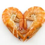 エビの心臓と胃はどこにある？に関する雑学