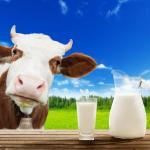 牛乳はペットボトルで販売すると違法になる？という雑学
