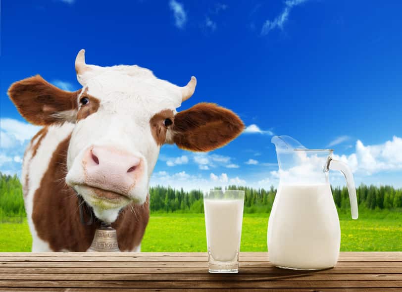 牛乳はペットボトルで販売すると違法になる?という雑学