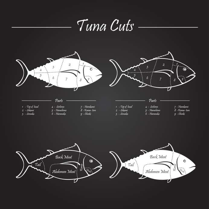 マグロはお腹の部分からトロが良くとれるというトリビア