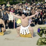 力士は運転できないという雑学