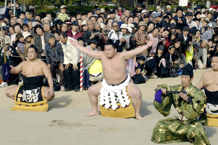 力士は運転できないという雑学