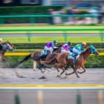 競馬の「サラブレッド」は胃潰瘍になる？という雑学